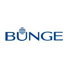 Bungue